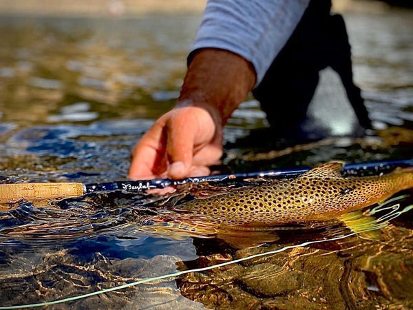 Hur du fiskar med torrfluga och gör så framgångsrikt | Fly Fishing Market｜Allt för ditt flugfiske